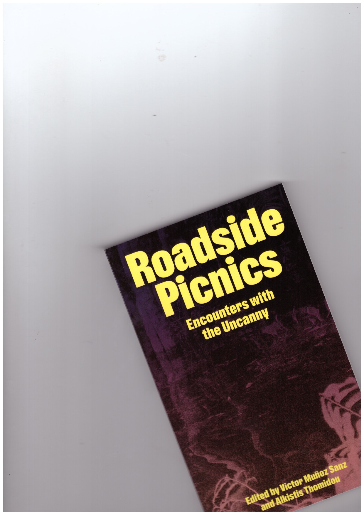 MUÑOS SANZ, Víctor; THOmIDOU, Alkistis (eds.) - Roadside Picnics. Encounters with the Uncanny